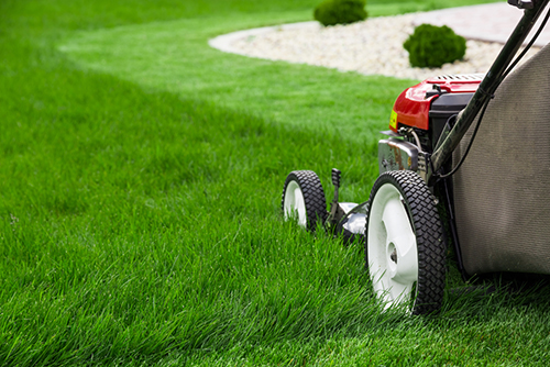 landscaping and lawn care services